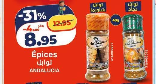 توابل شياورما 40g