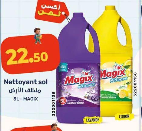 Nettoyant sol مطهر الأرض 5L - MAGIX