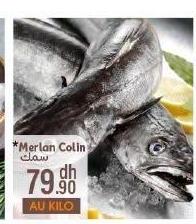 Merlan Colin سمك