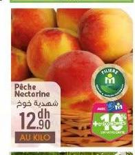 Pêche Nectarine شهيرة خوخ