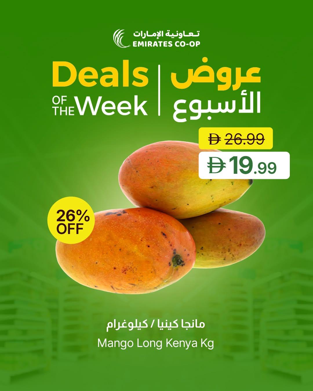 عروض تعاونية الإمارات صفحة 3