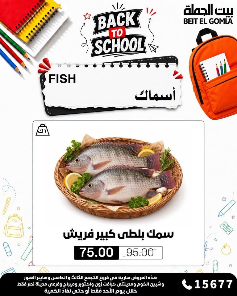 عروض بيت الجملة صفحة 10