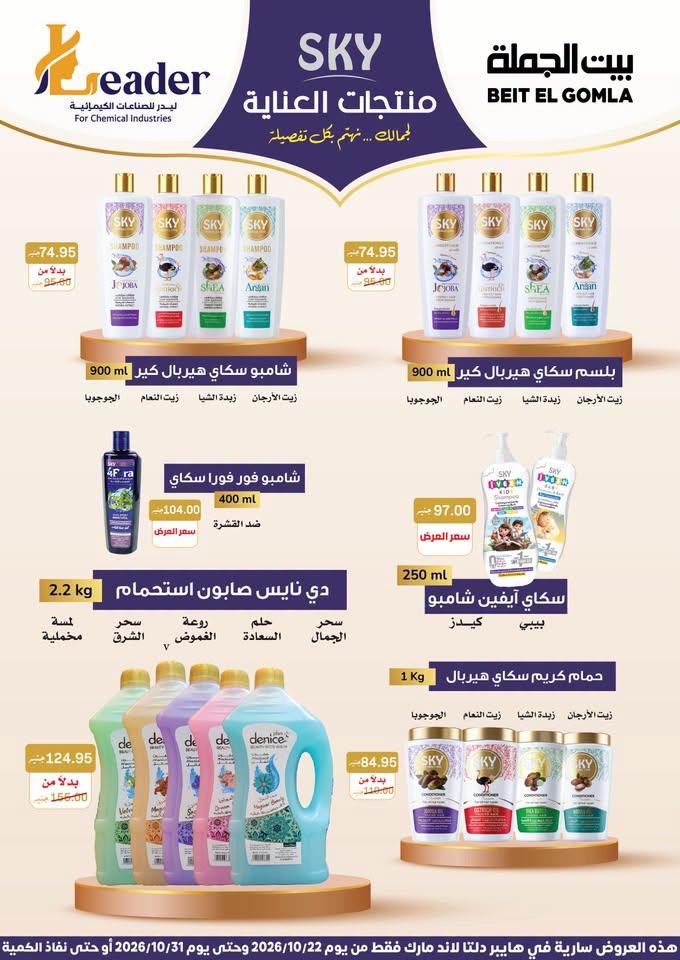 عروض بيت الجملة صفحة 16