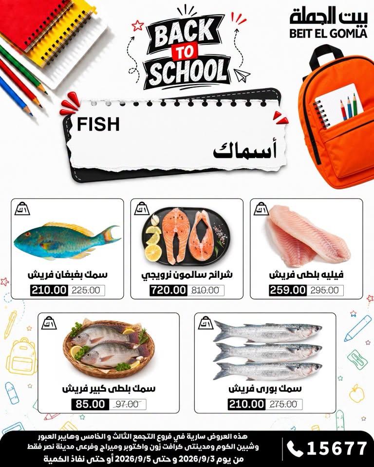 عروض بيت الجملة صفحة 13
