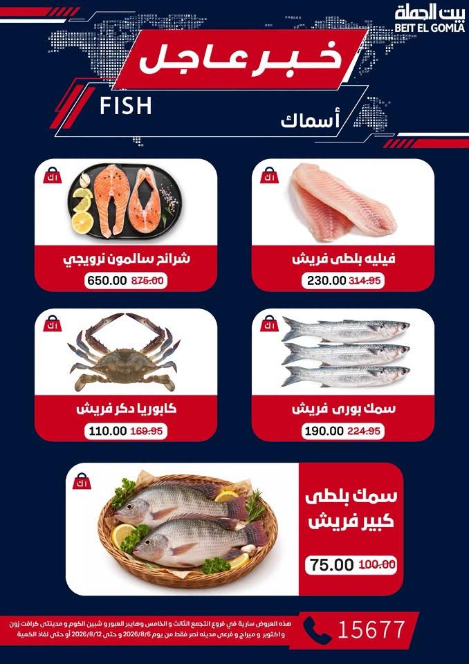 عروض بيت الجملة صفحة 11