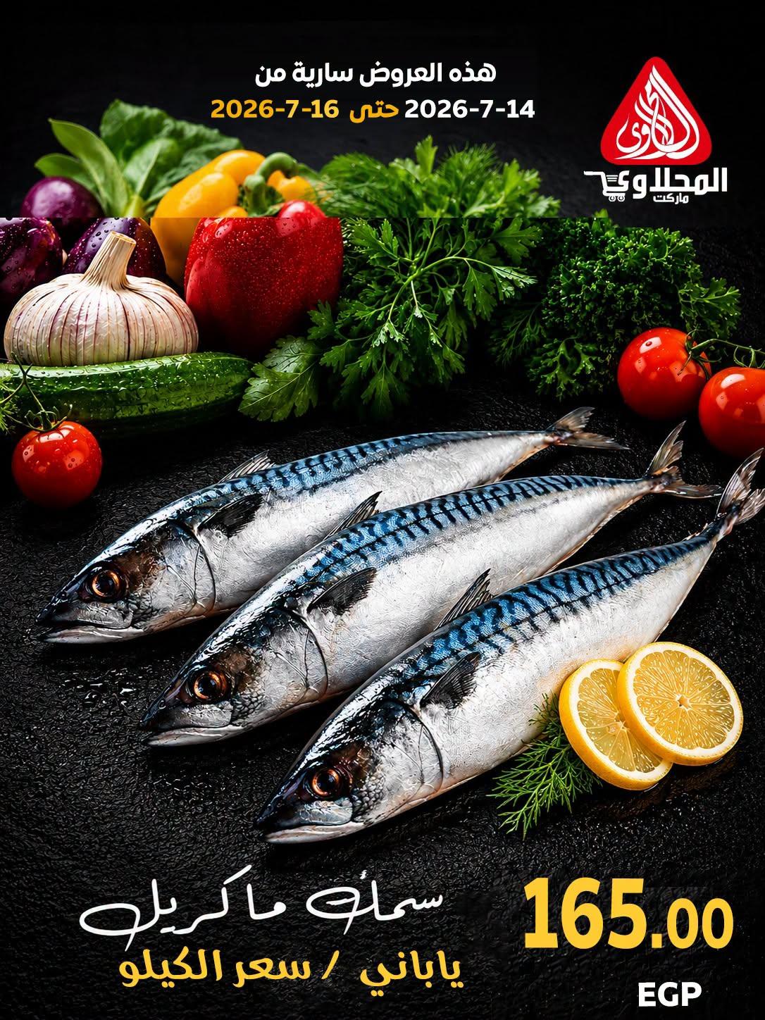 عروض المحلاوي صفحة 12