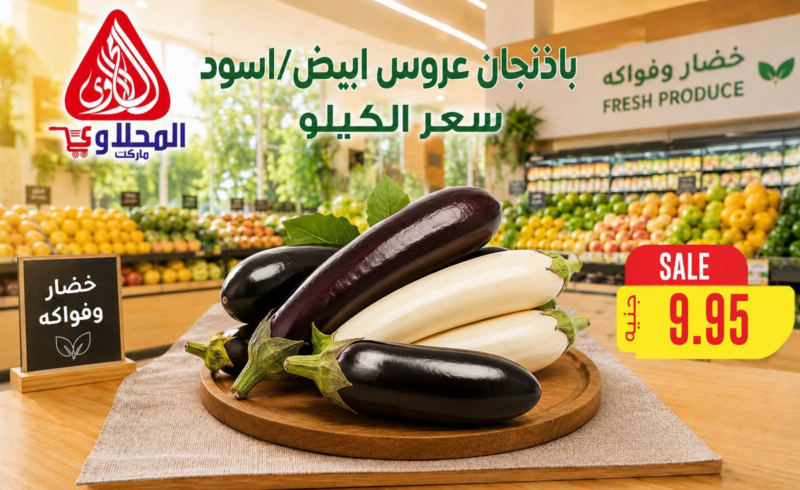 عروض المحلاوي صفحة 13