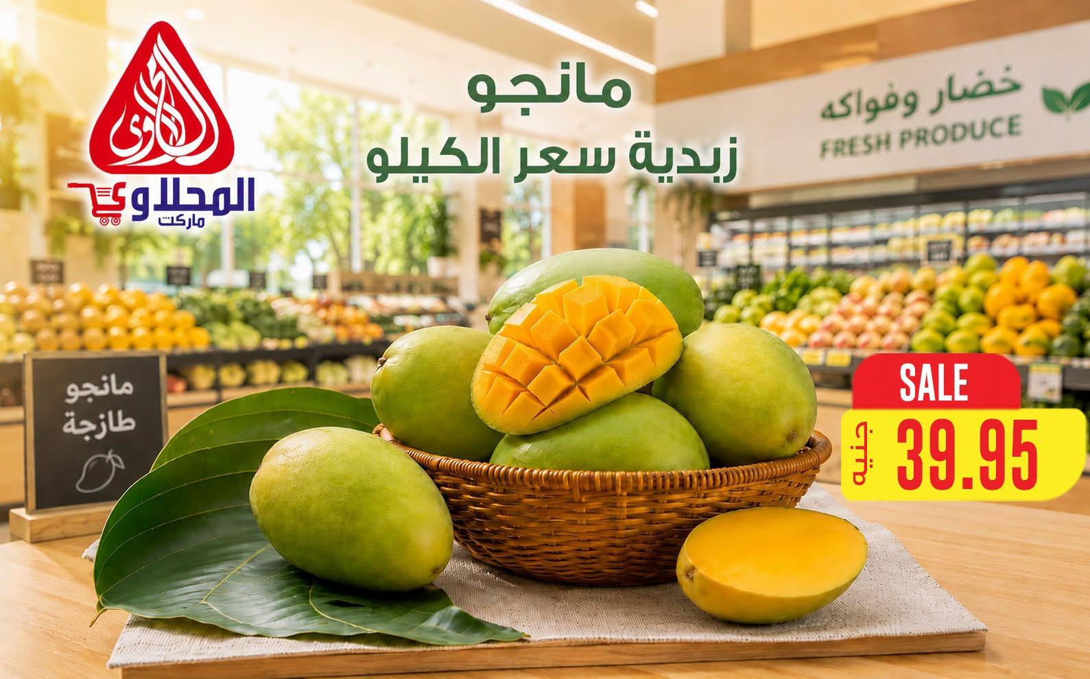 عروض المحلاوي صفحة 19