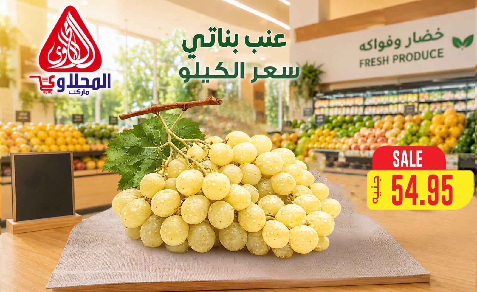 عروض المحلاوي صفحة 21
