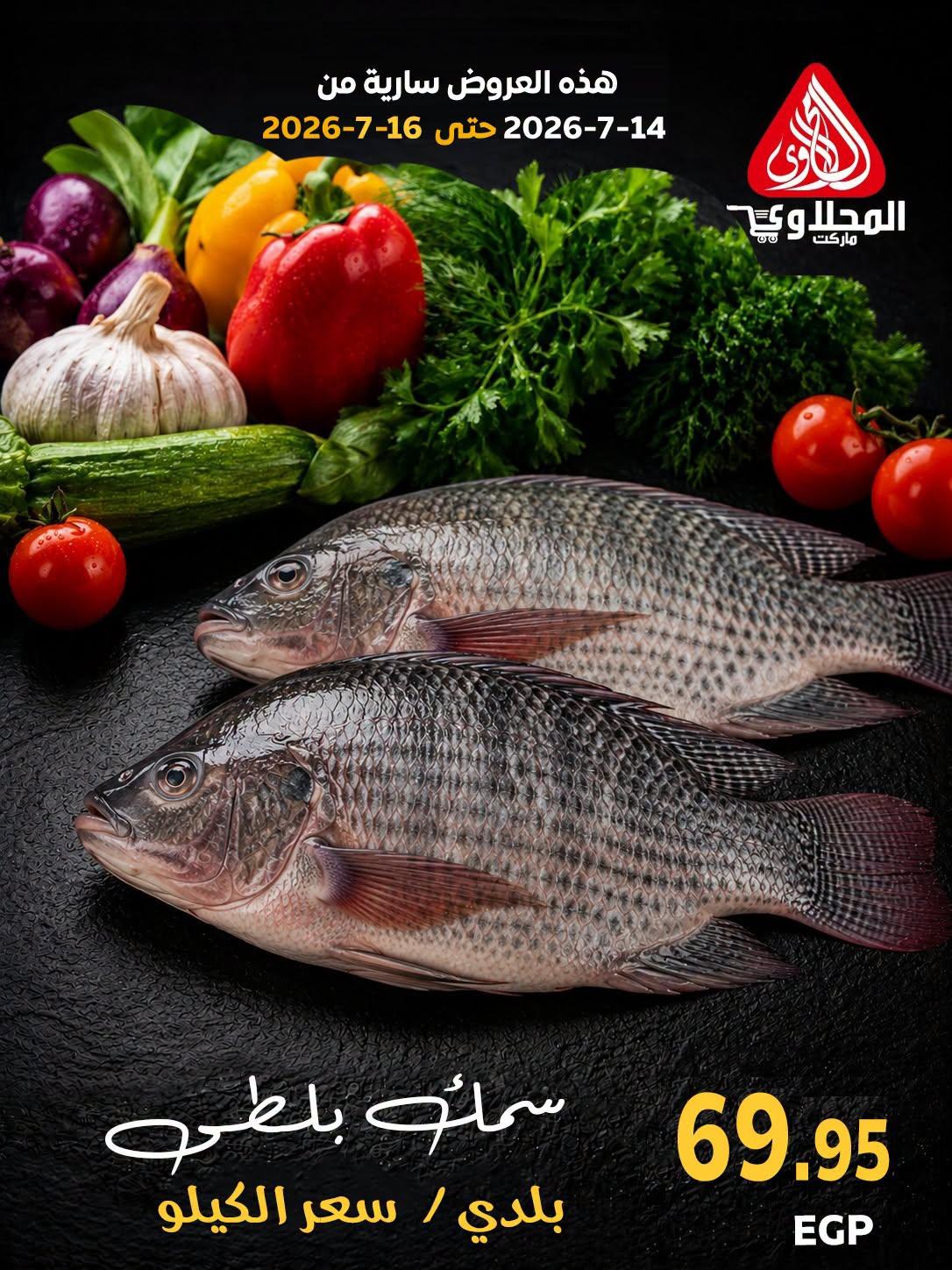 عروض المحلاوي صفحة 3