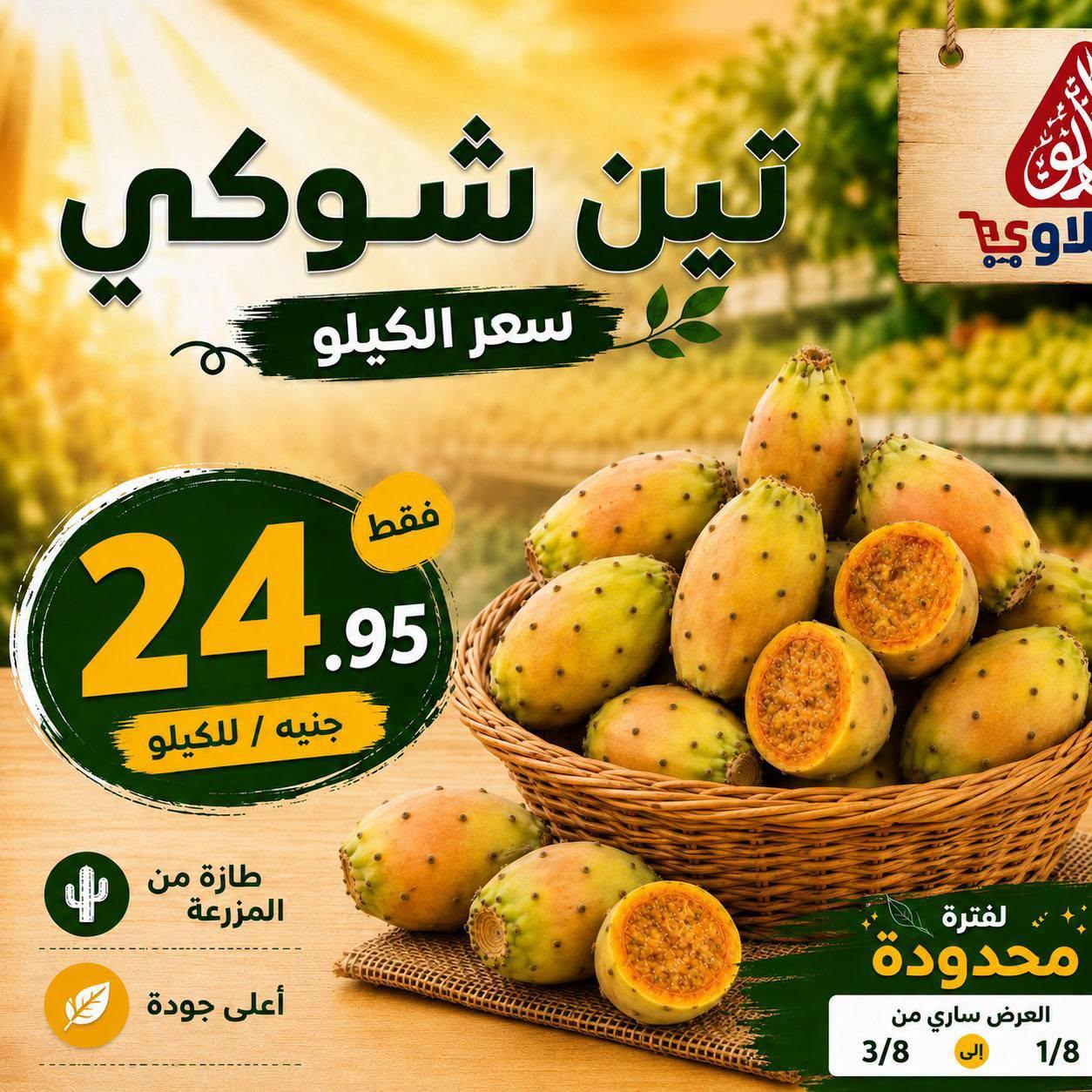 عروض المحلاوي صفحة 8