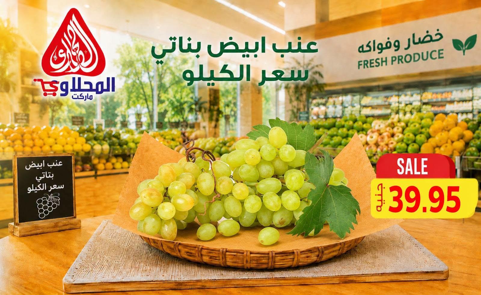 عروض المحلاوي صفحة 10