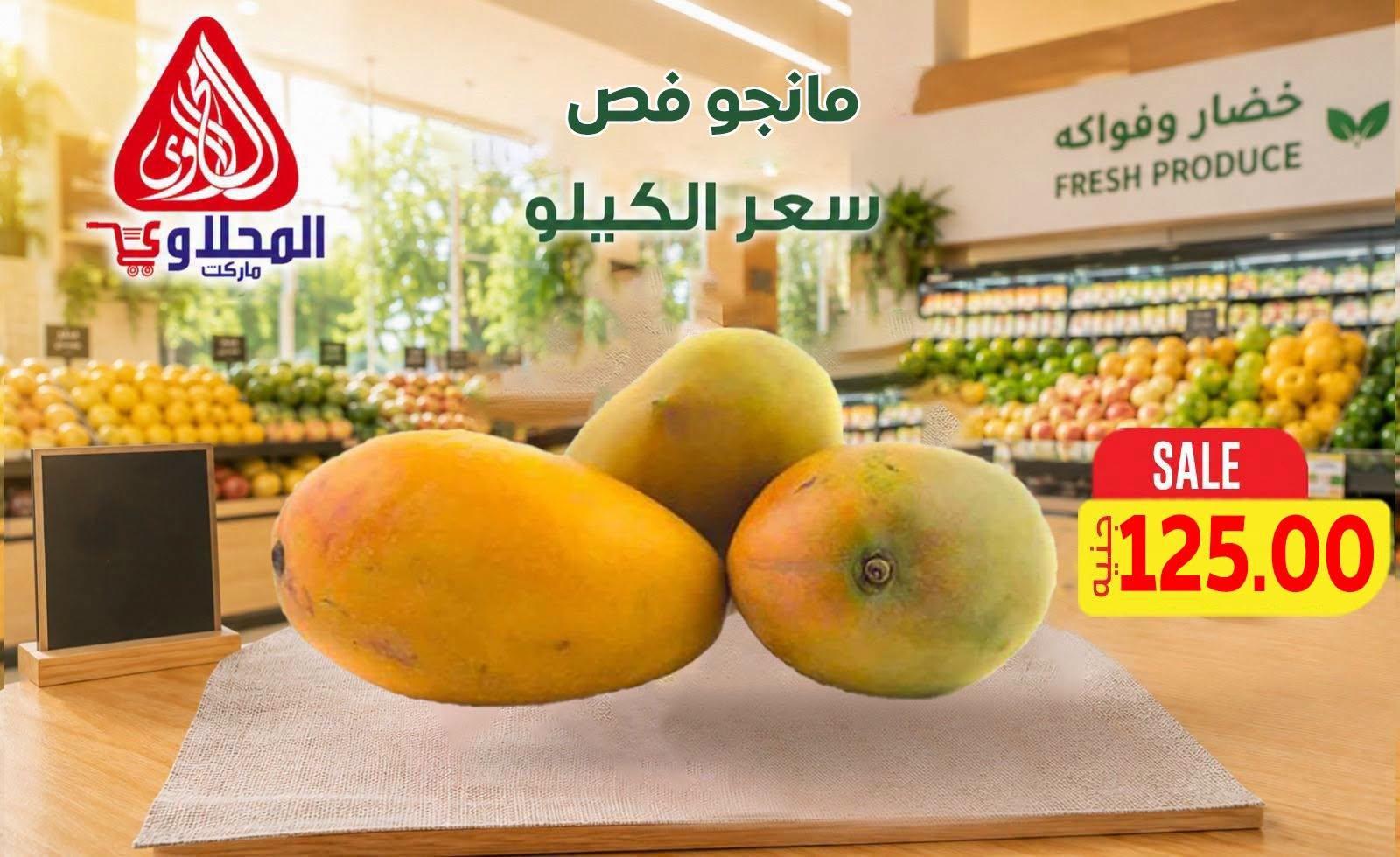 عروض المحلاوي صفحة 3