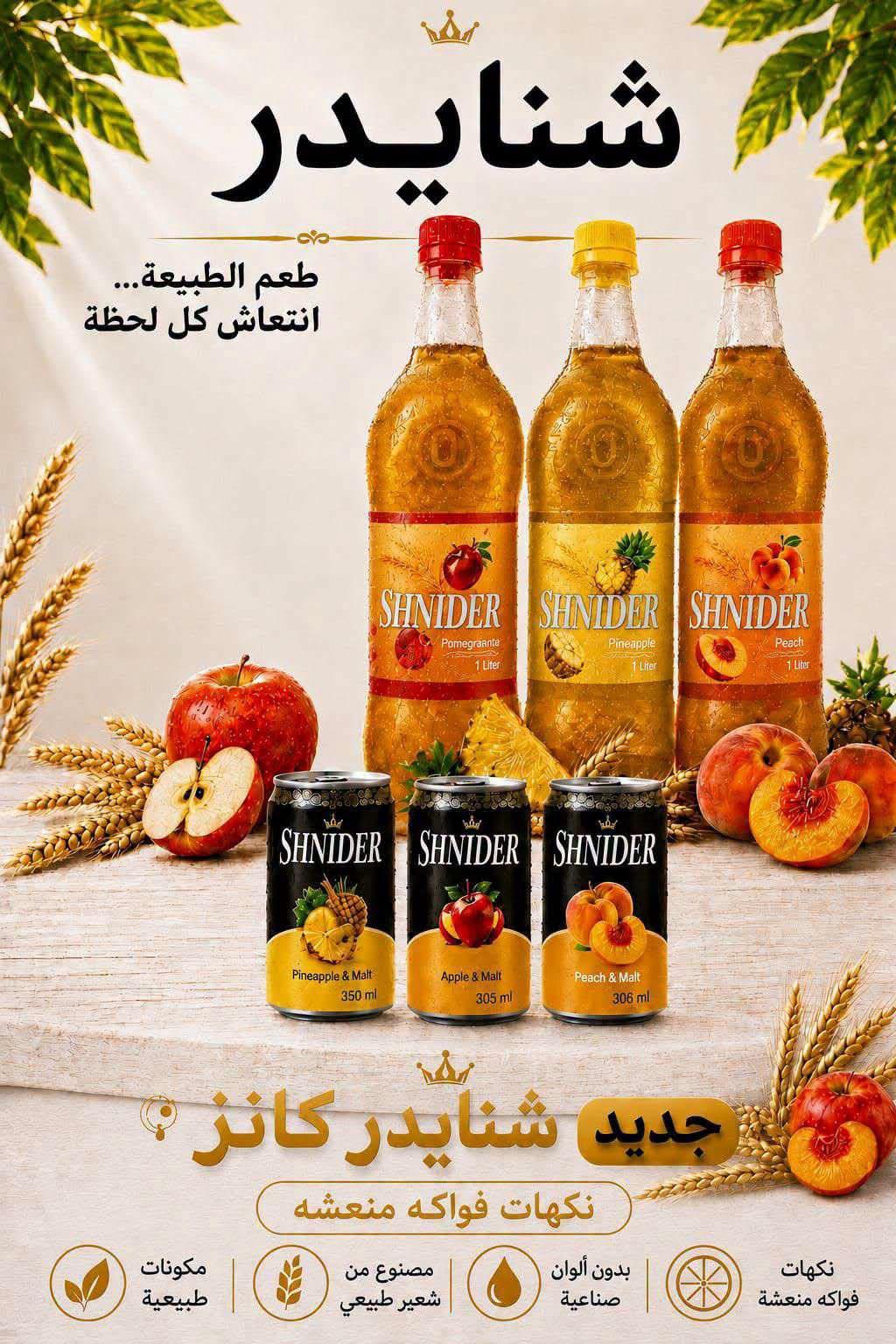 عروض المحلاوي صفحة 12