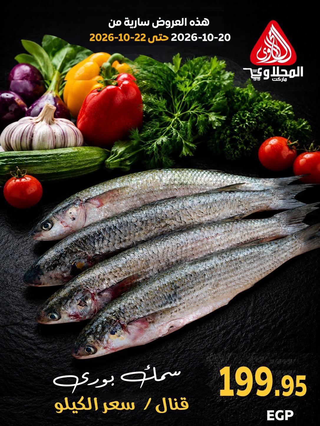 عروض المحلاوي صفحة 17