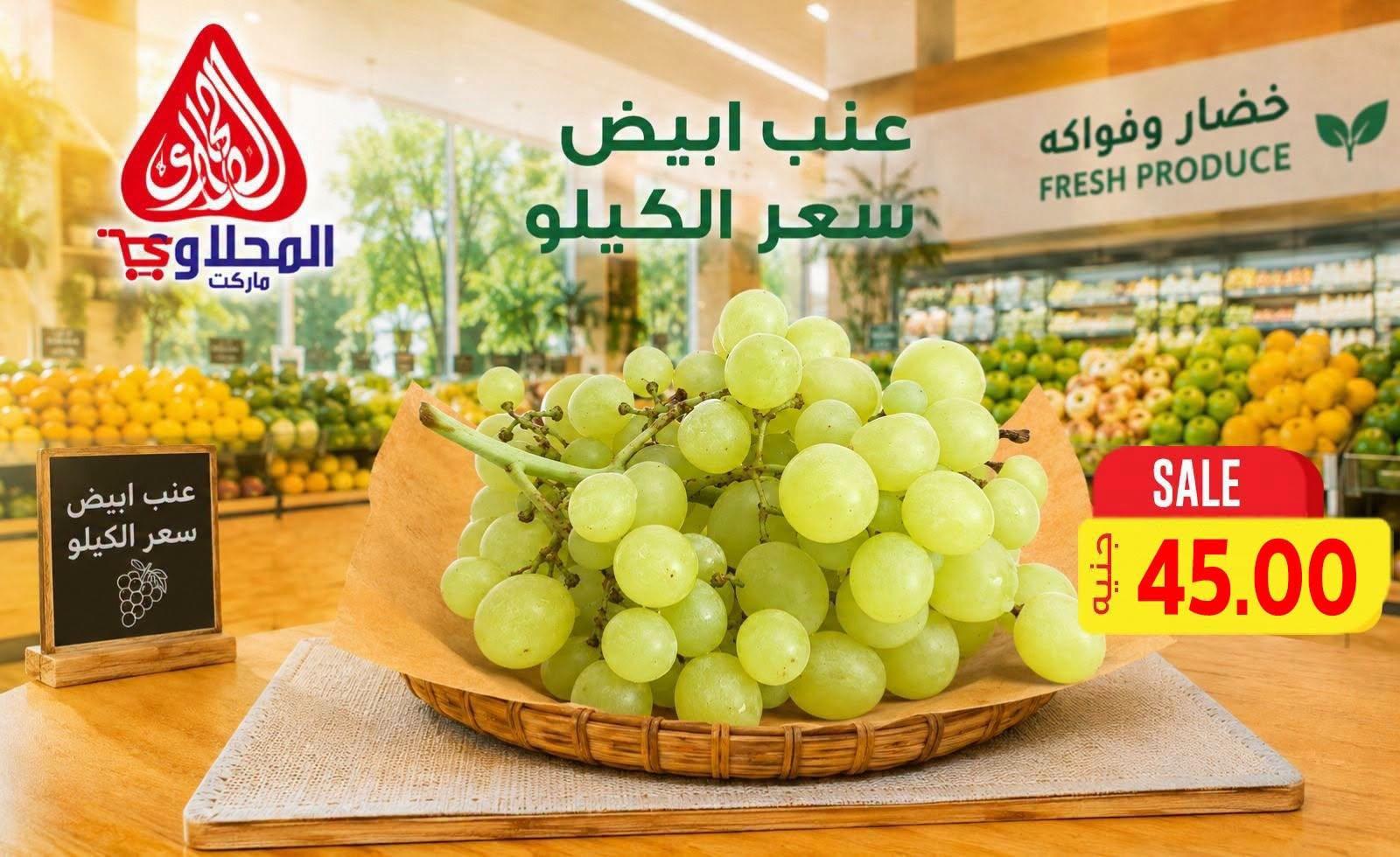 عروض المحلاوي صفحة 10 عروض المحلاوي صفحة 10