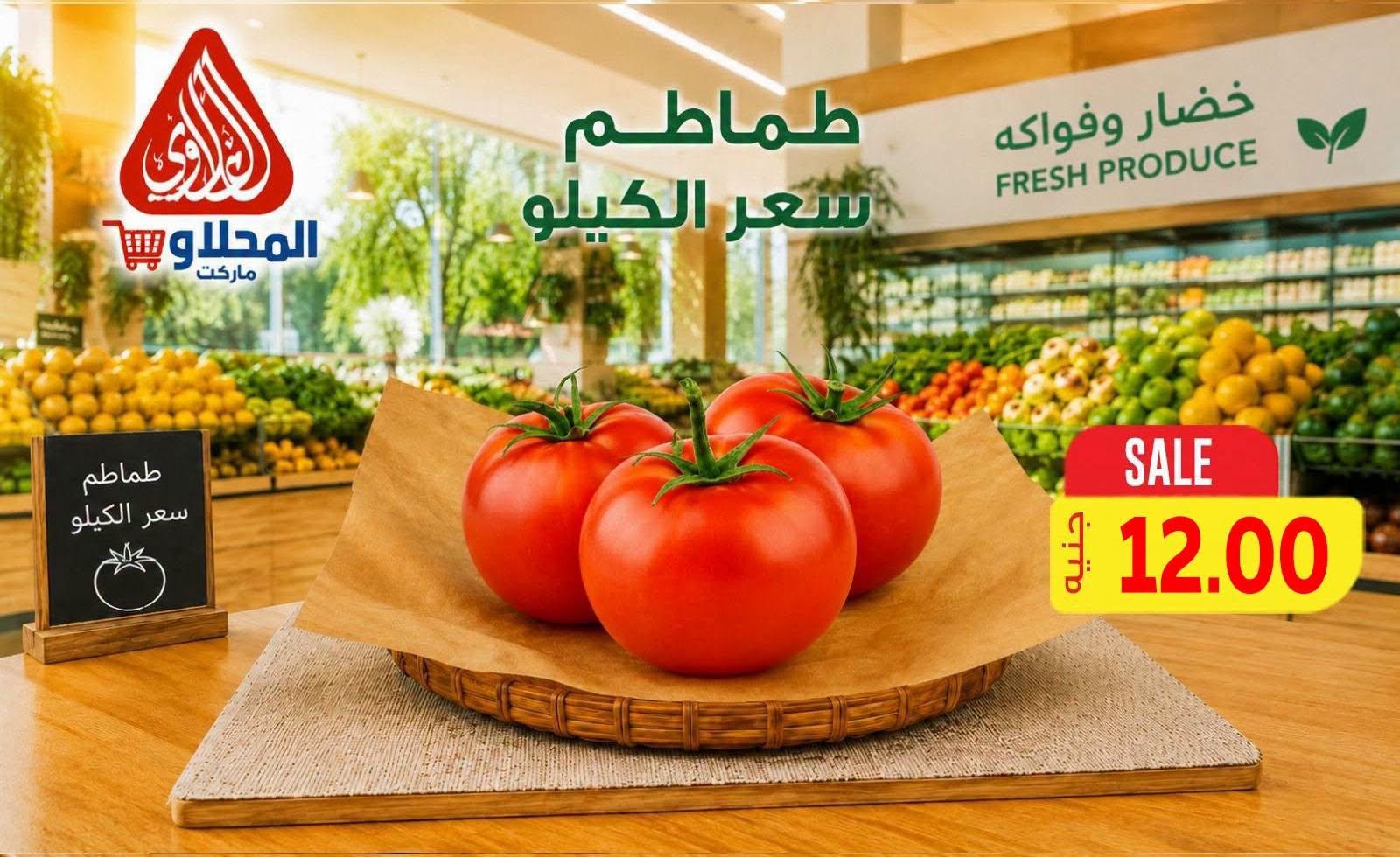 عروض المحلاوي صفحة 14 عروض المحلاوي صفحة 14