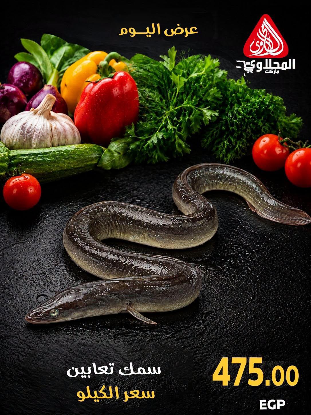 عروض المحلاوي صفحة 3 عروض المحلاوي صفحة 3