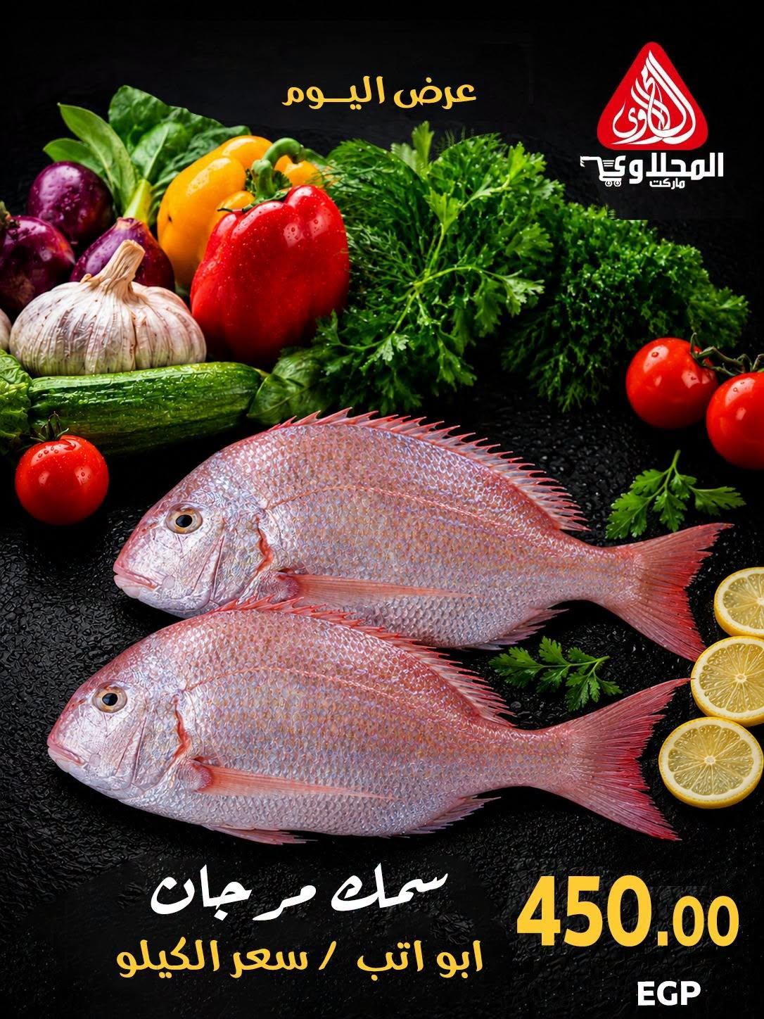 عروض المحلاوي صفحة 4 عروض المحلاوي صفحة 4