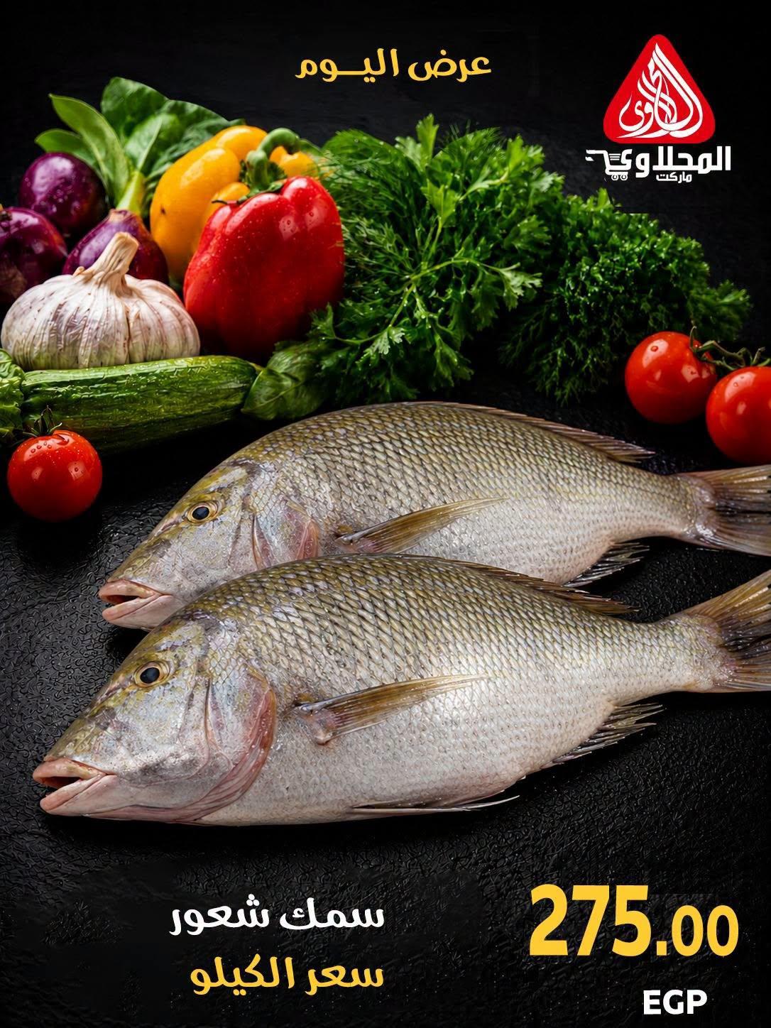 عروض المحلاوي صفحة 9 عروض المحلاوي صفحة 9