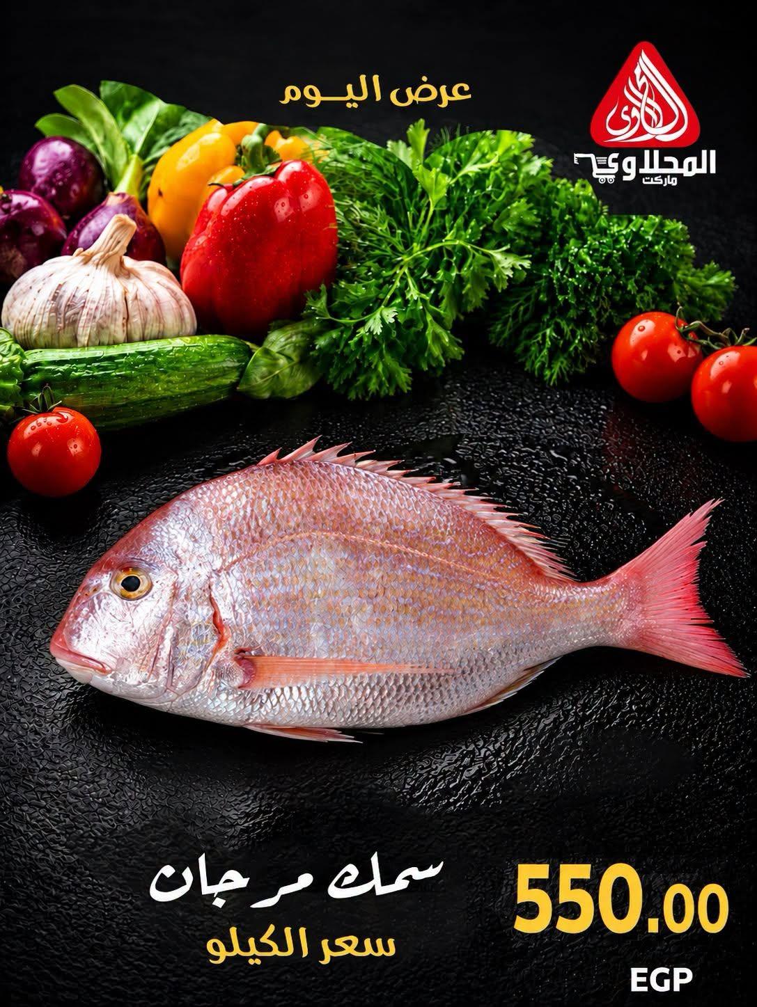 عروض المحلاوي صفحة 2 عروض المحلاوي صفحة 2