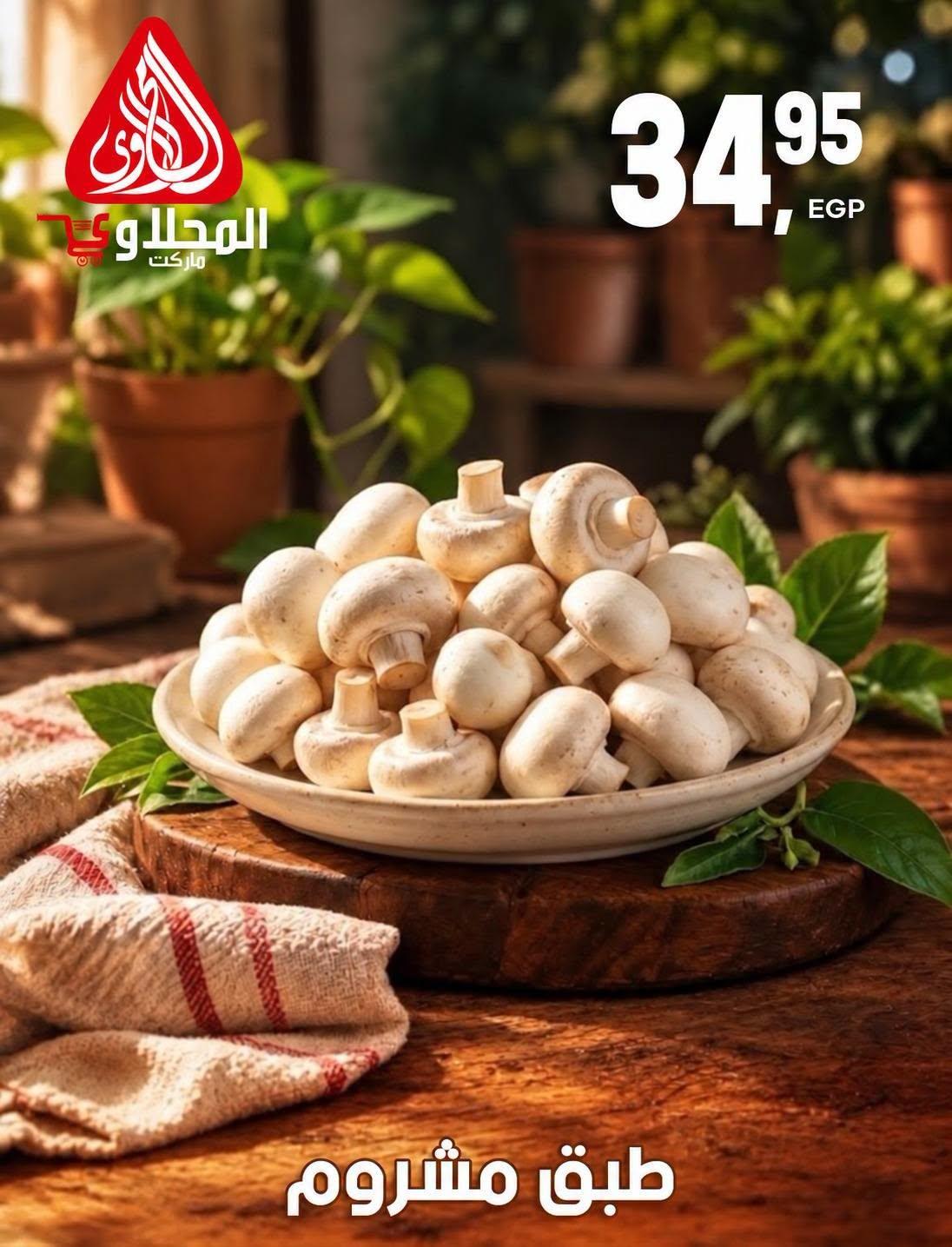 عروض المحلاوي صفحة 4