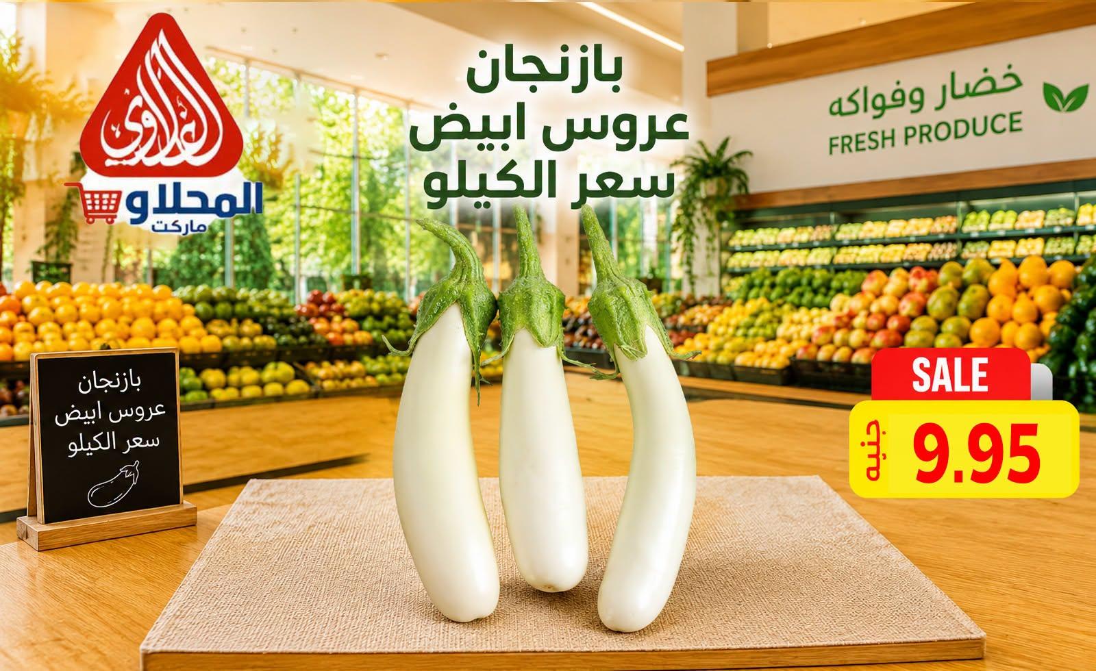 عروض المحلاوي صفحة 22