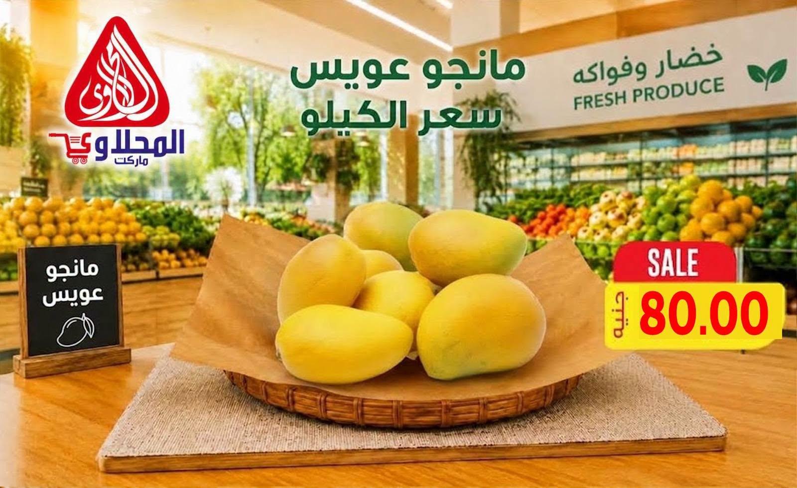 عروض المحلاوي صفحة 10 عروض المحلاوي صفحة 10