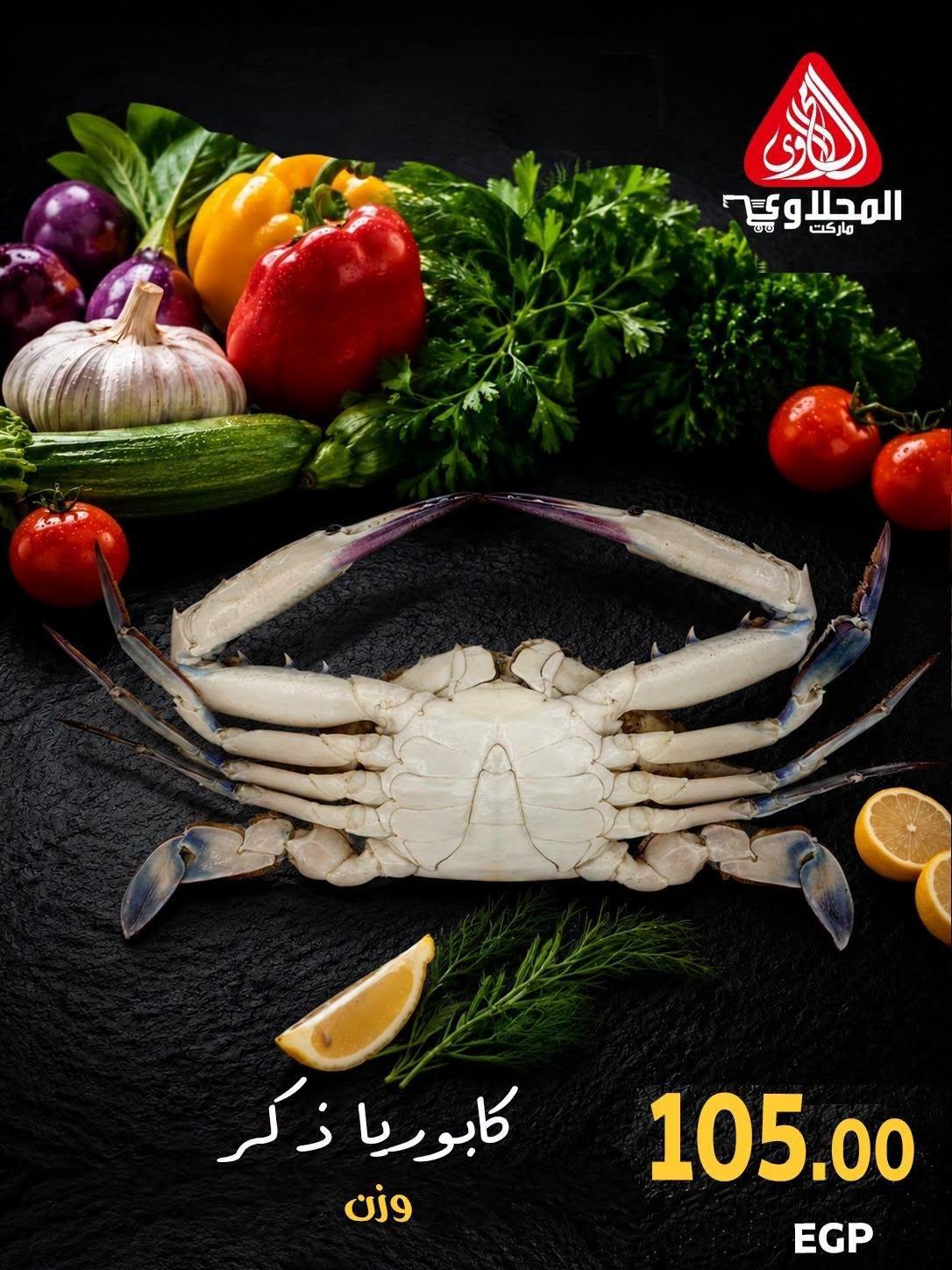 عروض المحلاوي صفحة 3 عروض المحلاوي صفحة 3