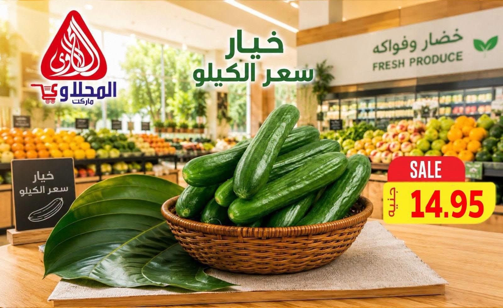 عروض المحلاوي صفحة 3 عروض المحلاوي صفحة 3