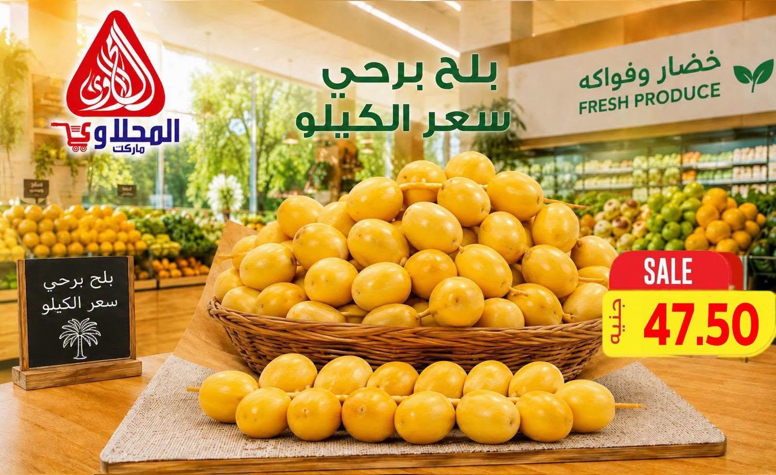 عروض المحلاوي صفحة 5 عروض المحلاوي صفحة 5