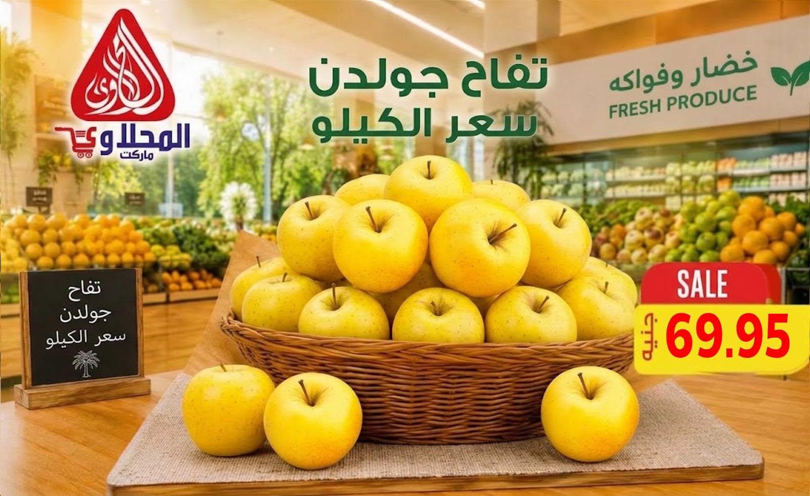 عروض المحلاوي صفحة 6 عروض المحلاوي صفحة 6
