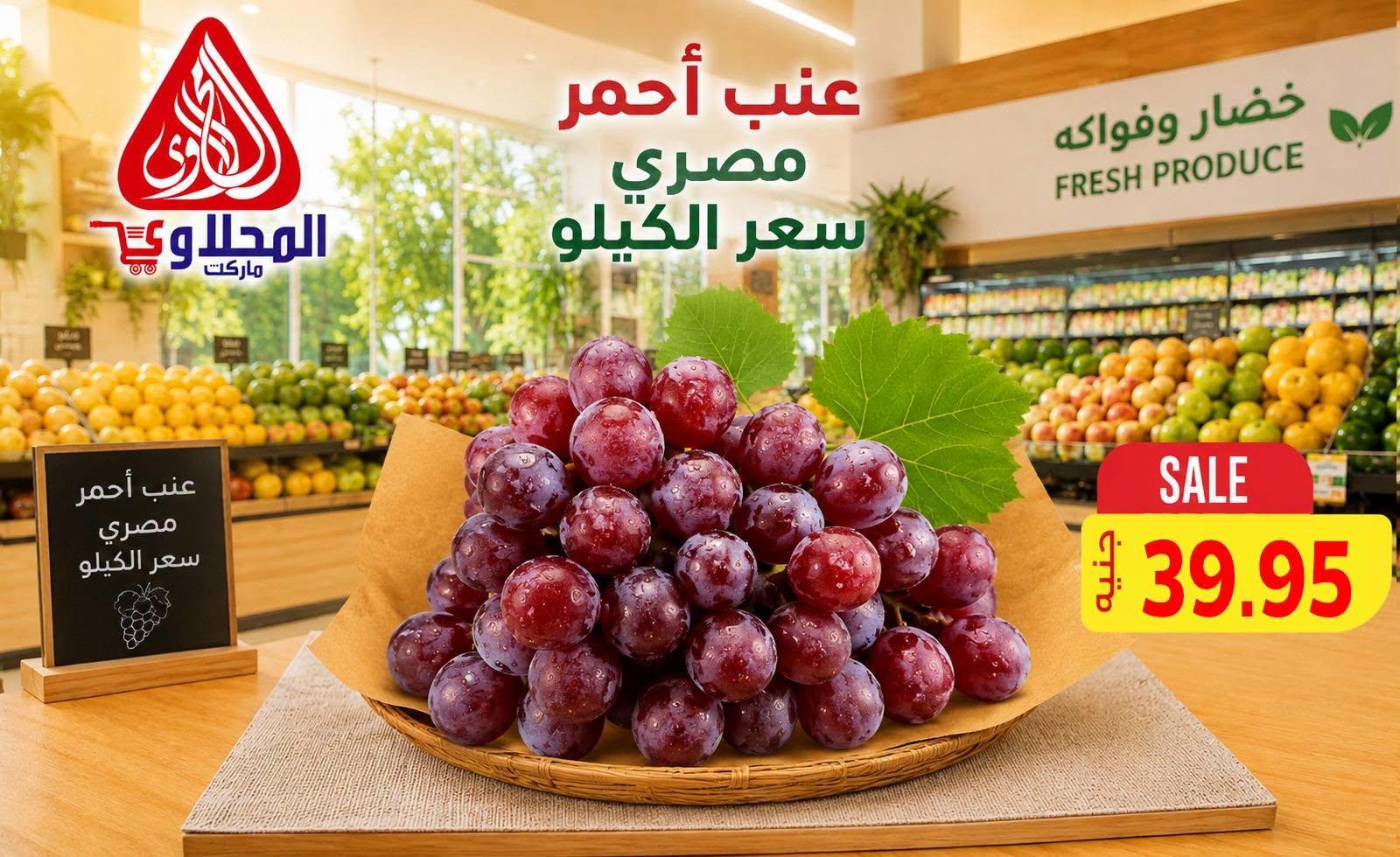 عروض المحلاوي صفحة 8 عروض المحلاوي صفحة 8