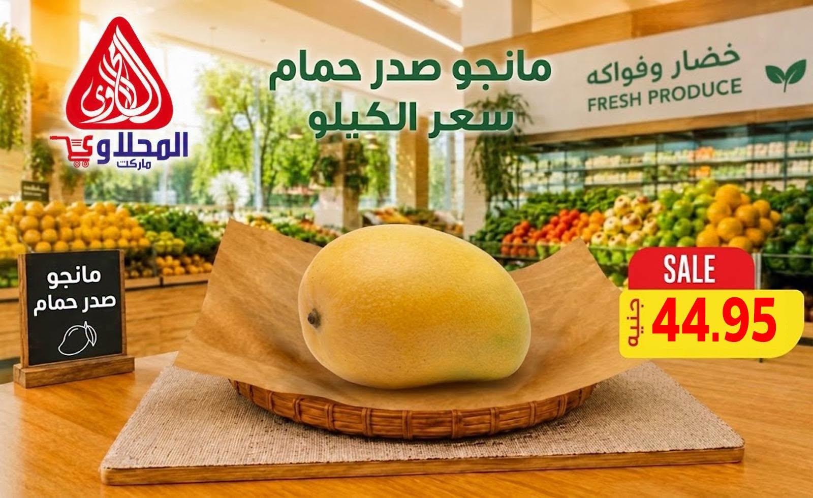 عروض المحلاوي صفحة 9 عروض المحلاوي صفحة 9