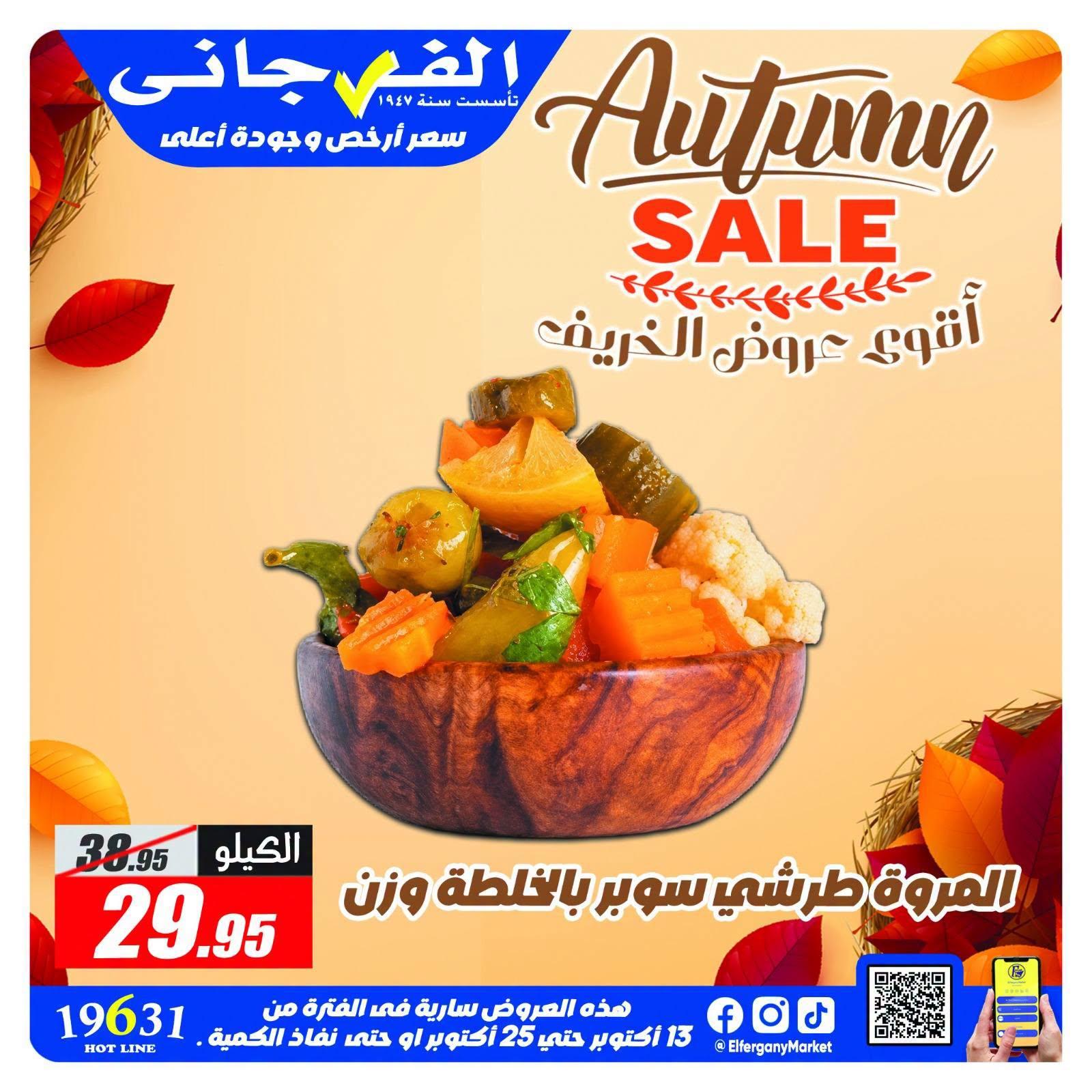 عروض الفرجاني صفحة 2