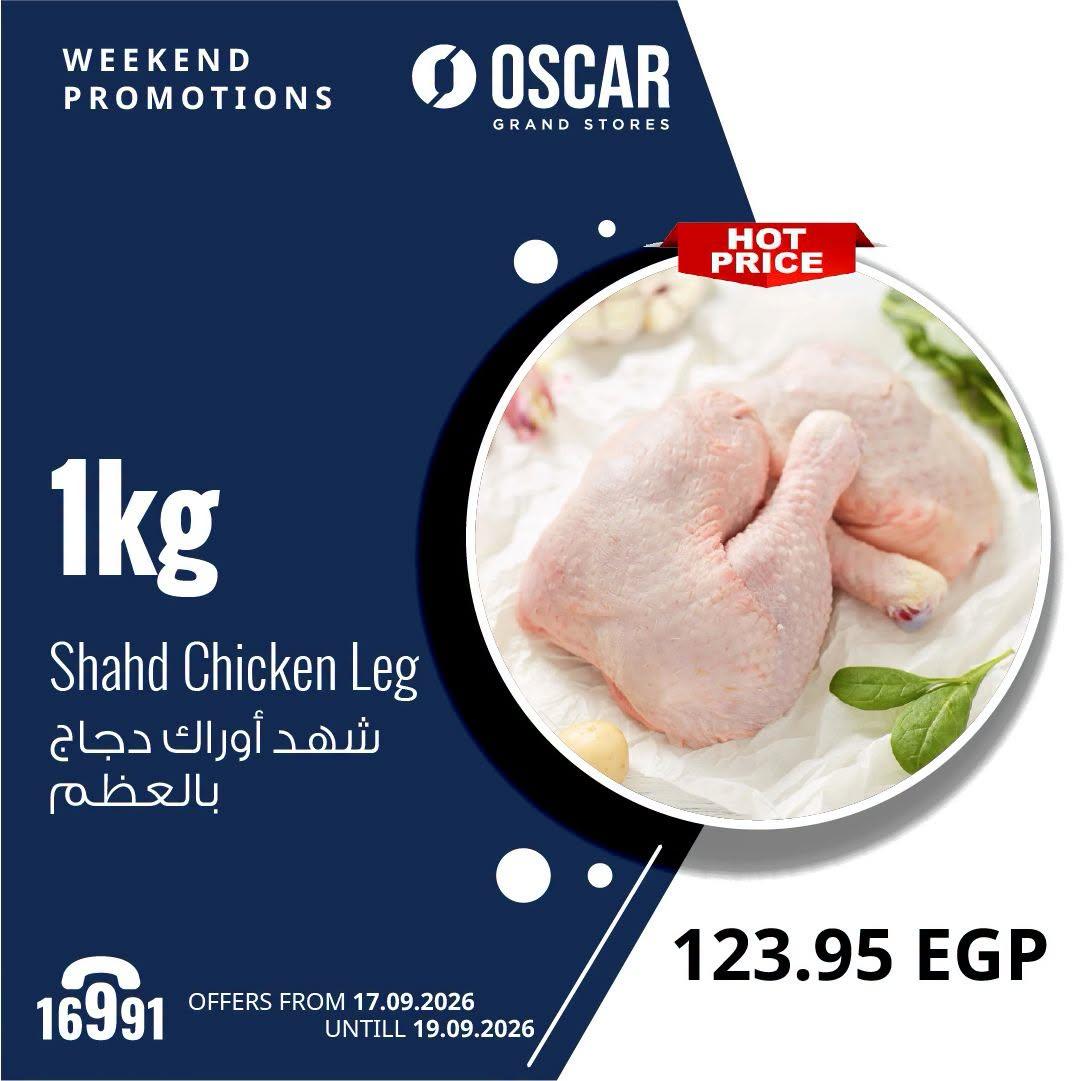عروض أوسكار صفحة 17