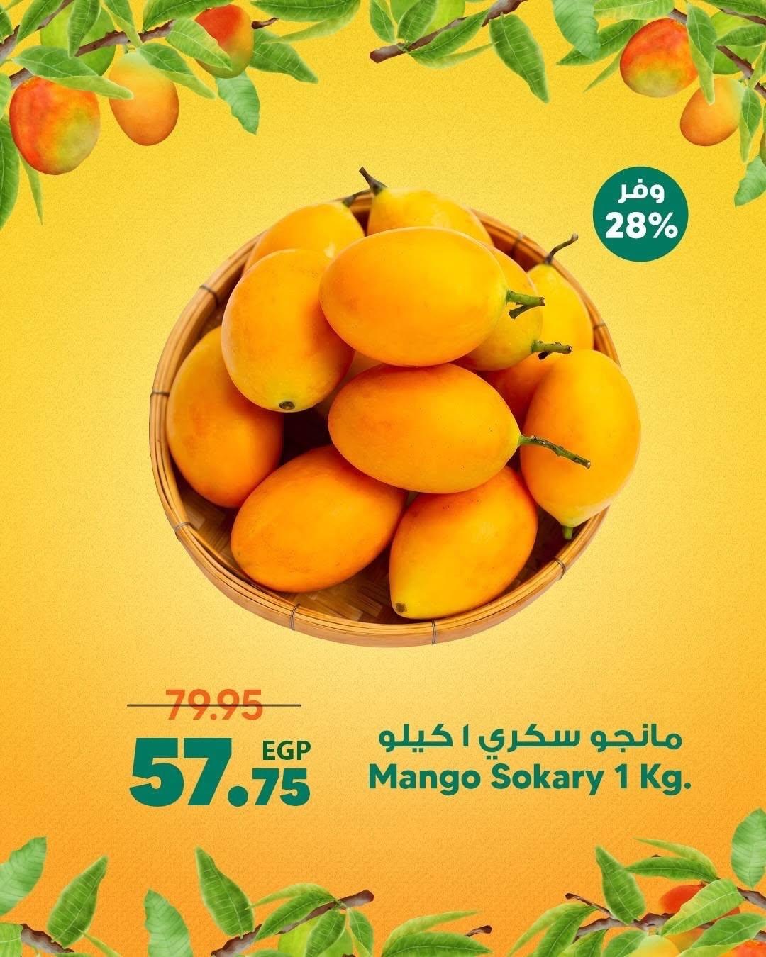 عروض سبينس صفحة 13